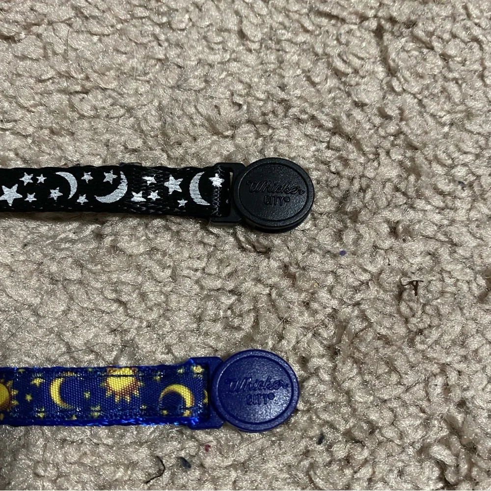 Kitten Collars